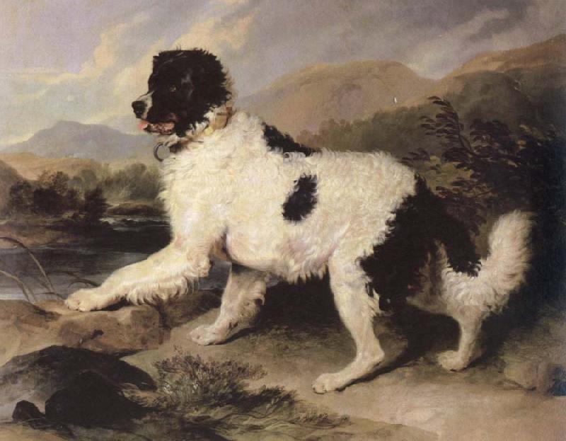 Sir Edwin Landseer lion a newfoundland dog